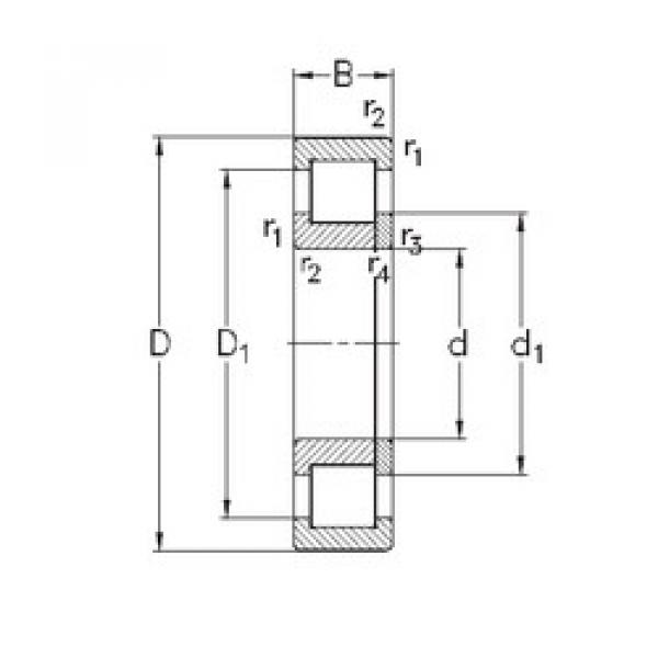 Rolando NUP240-E-M6 NKE #1 image